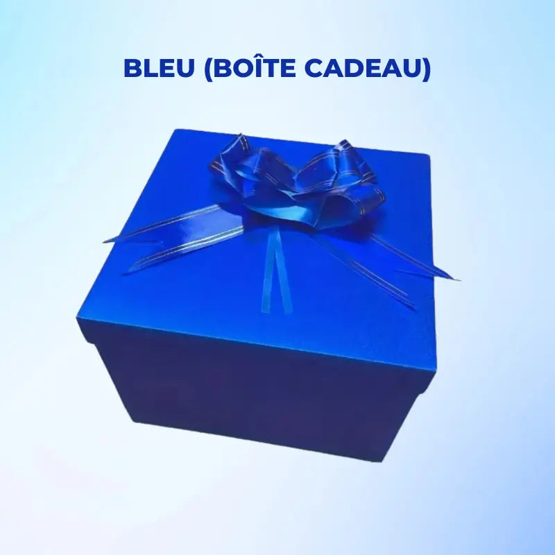 Boîte pour Cadeau Surprise