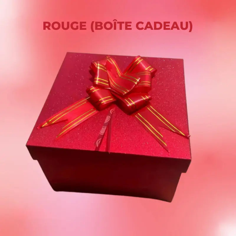 Boîte pour Cadeau Surprise