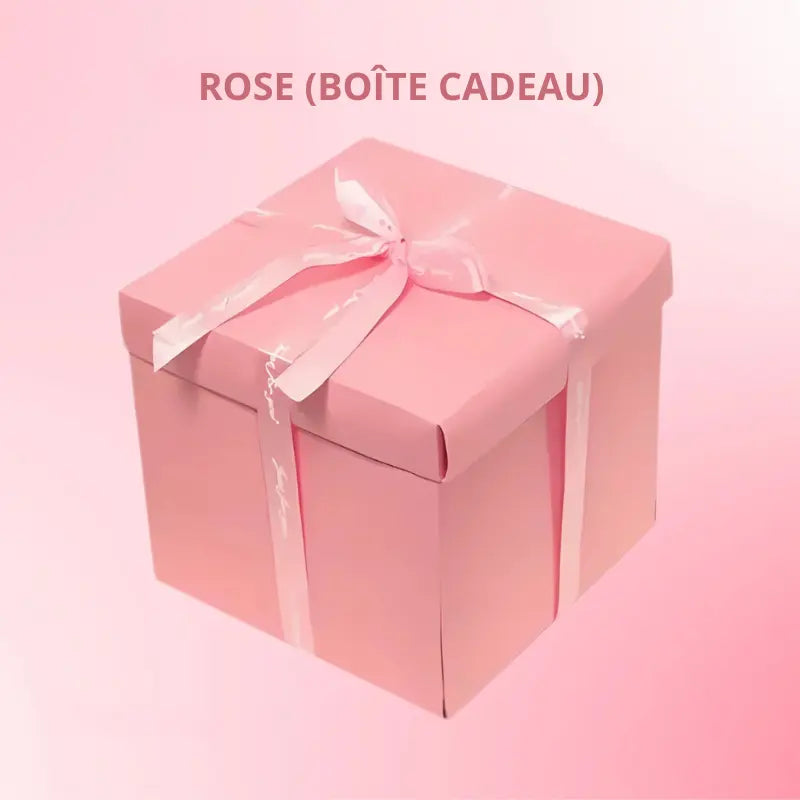 Boîte pour Cadeau Surprise